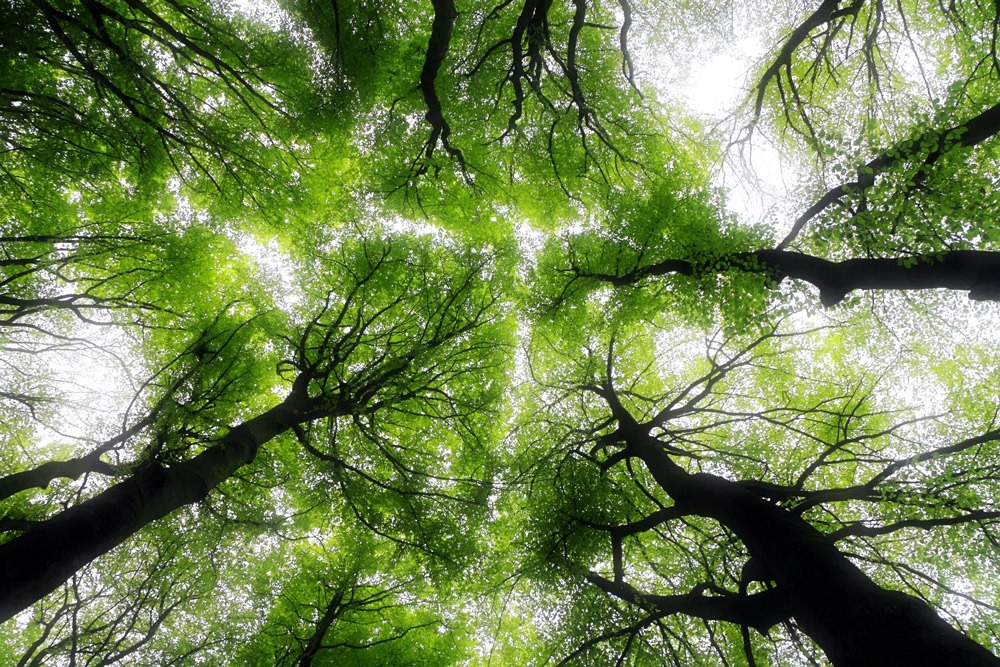 Zonas verdes públicas que se desarrollarán en Los Cerros